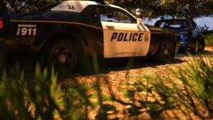 Fate and Life: The Mystery of Vaulinhorn